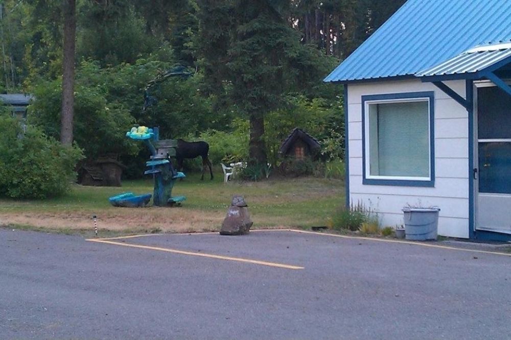 Little River Motel Saint Regis St. Regis Exterior foto